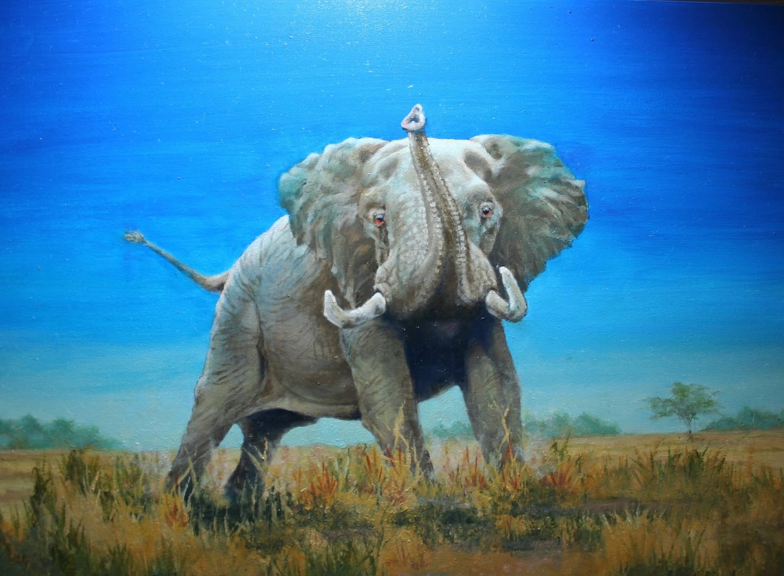 Charging Elephant, Oil on canvas