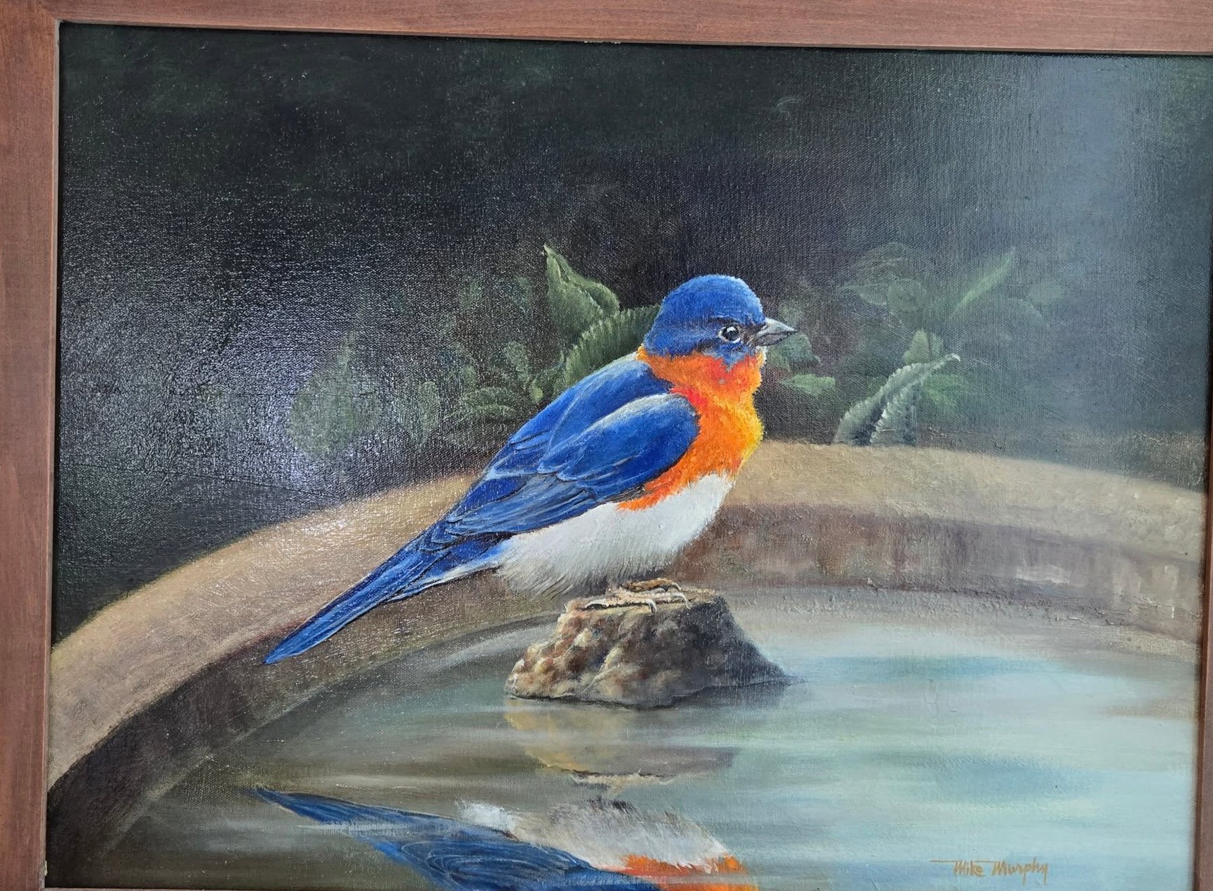 Eastern Bluebird, Oil on canvas
