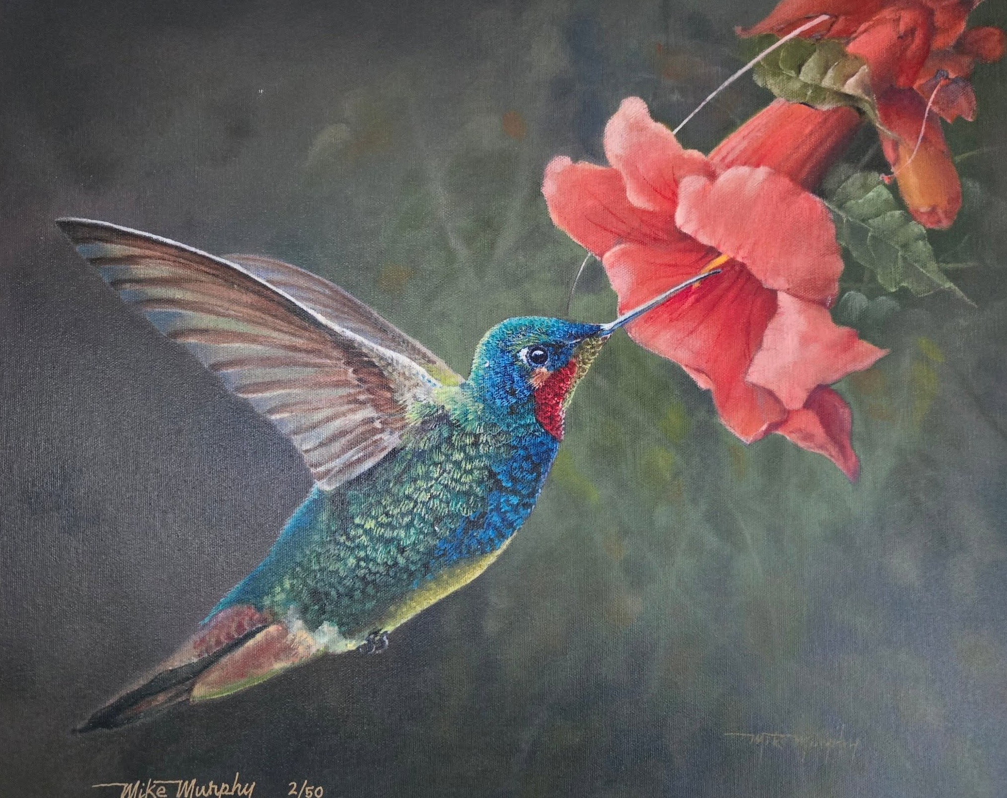 Hummingbird and Blossom, Print